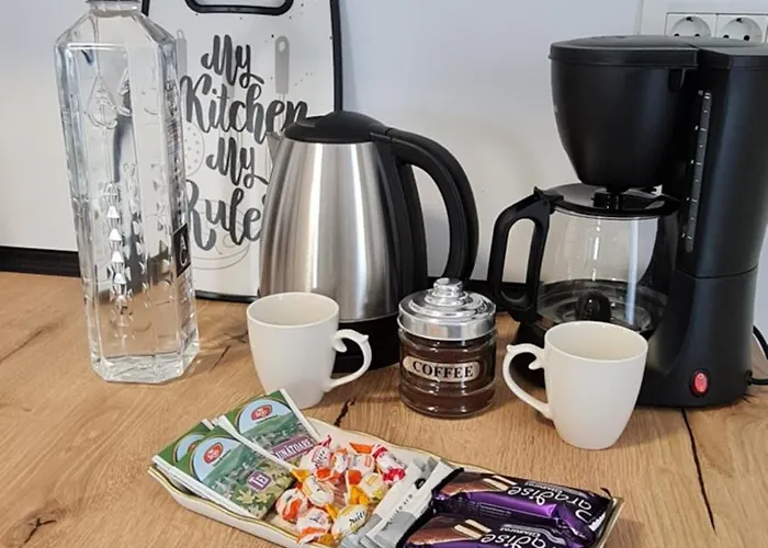 Jafar 9 Penthouse Lägenhet Timişoara